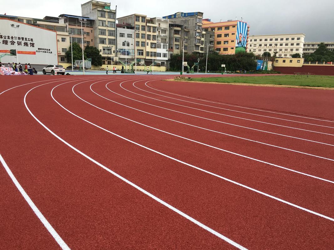 荆门市EPDM颗粒塑胶跑道材料 - 方案